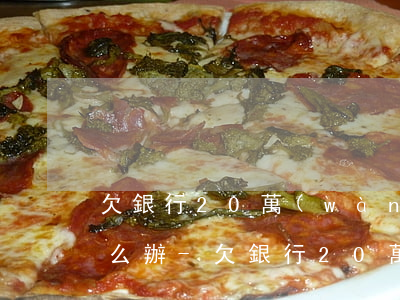 欠銀行20萬(wàn)銀行下了支付令怎么辦-欠銀行20萬(wàn)元錢(qián)被起訴后果