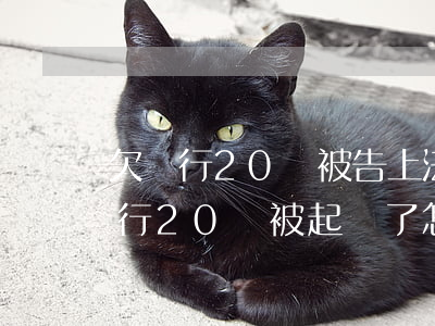 欠銀行20萬被告上法庭會怎么處理-欠銀行20萬被起訴了怎么辦
