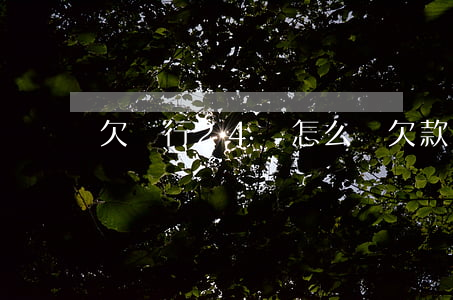 欠銀行24萬怎么辦(欠款24萬怎么辦)