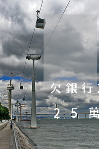 欠銀行25萬一年未還款后果怎樣-欠銀行25萬一年未還款后果怎樣呢