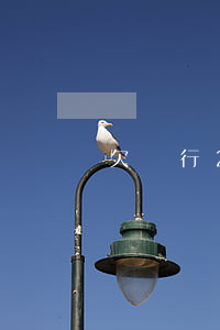 欠銀行2個(gè)億判幾年