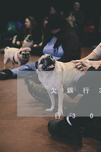 欠銀行30000元被起訴了怎么辦-欠銀行30000元被起訴了怎么辦呢