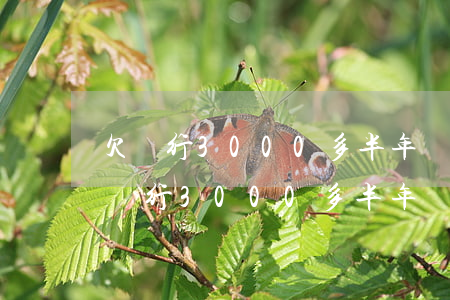 欠銀行3000多半年沒還有什么后果-欠銀行3000多半年沒還有什么后果嗎