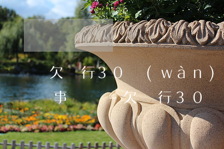 欠銀行30萬(wàn)還不起可以提起刑事訴訟-欠銀行30萬(wàn)還不起可以提起刑事訴訟嗎