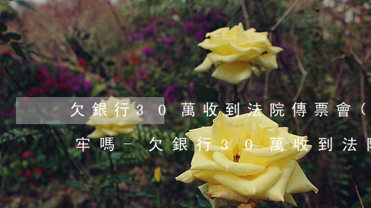 欠銀行30萬收到法院傳票會(huì)坐牢嗎-欠銀行30萬收到法院傳票會(huì)坐牢嗎知乎
