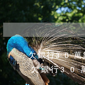 欠銀行30萬無力償還怎么辦會不會坐牢-欠銀行30萬無力償還怎么辦會不會坐牢呢