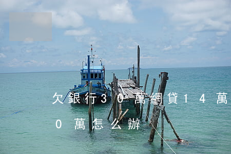 欠銀行30萬網貸14萬怎么辦(網貸欠款30萬怎么辦)