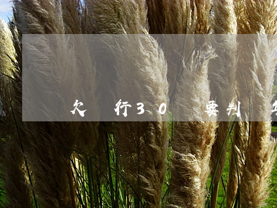 欠銀行30萬要判幾年