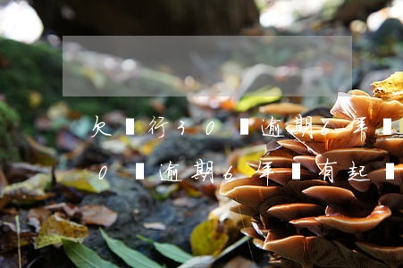 欠銀行30萬逾期6年沒有起訴-欠銀行30萬逾期6年沒有起訴會怎樣