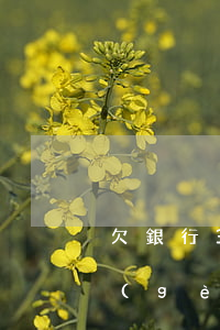 欠銀行3萬個(gè)人貸款(欠銀行3萬個(gè)人貸款怎么處理)