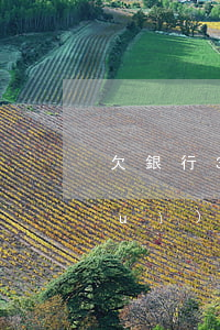 欠銀行3萬利息怎么算(欠銀行三萬元會(huì)坐牢嗎)