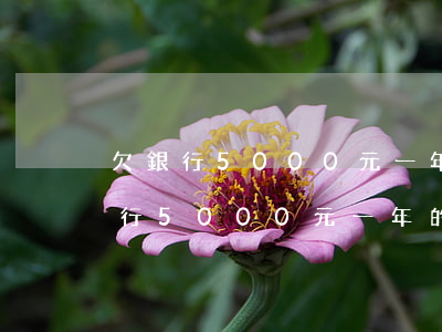 欠銀行5000元一年的利息是多少-欠銀行5000元一年的利息是多少錢