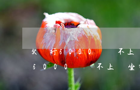 欠銀行5000萬還不上會坐牢嗎-欠銀行5000萬還不上會坐牢嗎知乎