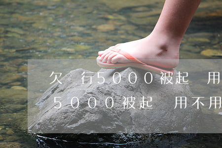 欠銀行5000被起訴用不用坐牢-欠銀行5000被起訴用不用坐牢了