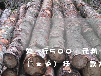 欠銀行500萬元判幾年刑期？詳解刑事責(zé)任與還款方式