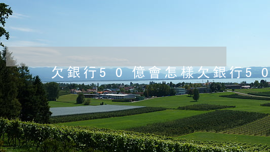 欠銀行50億會怎樣(欠銀行50萬要坐牢嗎)
