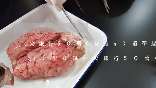 欠銀行50萬(wàn)還不起錢會(huì)坐牢嗎-欠銀行50萬(wàn)還不起錢會(huì)坐牢嗎