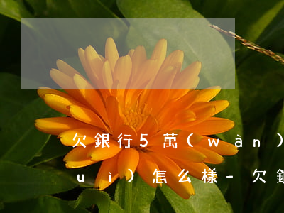 欠銀行5萬(wàn)貸款2年沒還會(huì)怎么樣-欠銀行5萬(wàn)貸款2年沒還會(huì)怎么樣呢