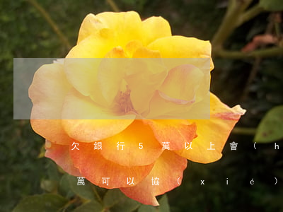 欠銀行5萬以上會(huì)怎樣（欠銀行5萬可以協(xié)商嗎）