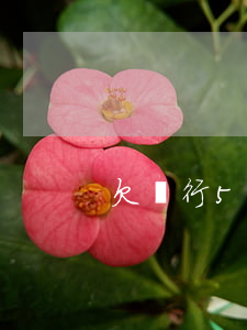 欠銀行5萬塊錢還不起會不會坐牢