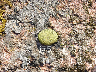 欠銀行5萬逾期7年要還多少利息-欠銀行5萬逾期7年要還多少利息呢