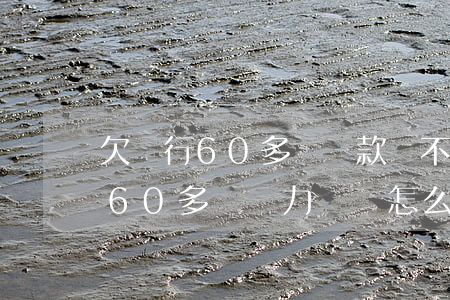 欠銀行60多萬貸款還不上怎么辦 銀行欠款60多萬無力償還怎么辦