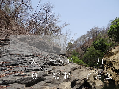 欠銀行60萬無力償還怎么辦啊(我欠銀行60萬被起訴了怎么辦)