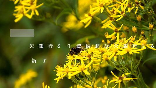 欠銀行6千塊被起訴(欠銀行16000被起訴了)