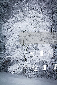 欠銀行6萬坐牢坐多久(欠銀行60000會坐幾年牢?)