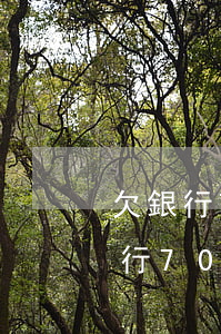 欠銀行7000元銀行會上門催款嗎-欠銀行7000元銀行會上門催款嗎怎么辦