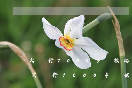欠銀行7000多會被起訴要付什么費用-欠銀行7000多會被起訴要付什么費用呢