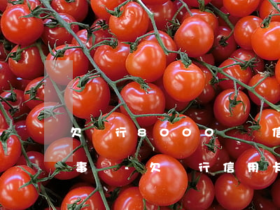 欠銀行8000塊錢信用卡會(huì)有事嗎-欠銀行信用卡8000元會(huì)被刑拘嗎