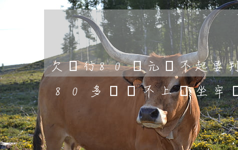 欠銀行80萬元還不起要判多少年-欠銀行80多萬還不上會坐牢嗎