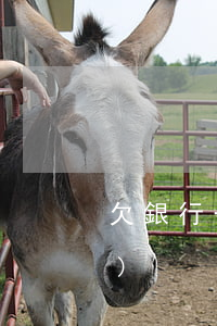 欠銀行一個(gè)億的人是誰(shuí)