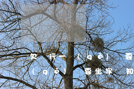 欠銀行一個(gè)億要坐牢嗎(欠銀行一個(gè)億要坐牢嗎知乎)