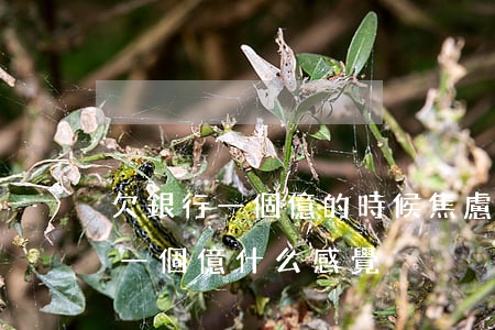 欠銀行一個億的時候焦慮的是銀行-欠銀行一個億什么感覺