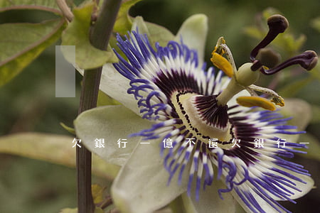 欠銀行一億不還(欠銀行一億坐幾年牢)