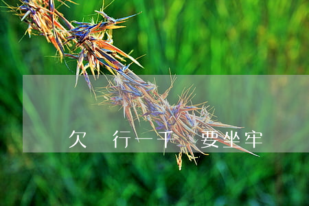 欠銀行一千萬要坐牢嗎