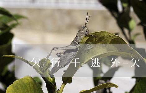 欠銀行一千萬逃國外-欠銀行1000萬