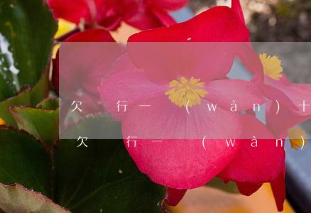 欠銀行一萬(wàn)十年沒(méi)還(欠銀行一萬(wàn)十年不還是多少錢(qián))