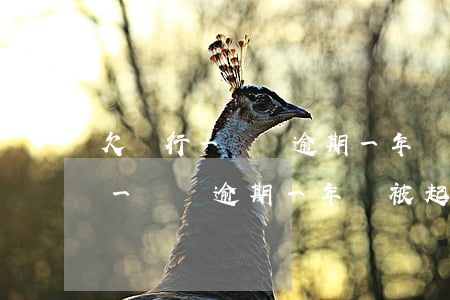 欠銀行一萬塊逾期一年會被起訴不-欠銀行一萬塊逾期一年會被起訴不