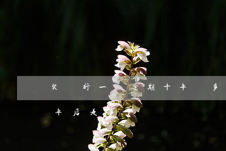 欠銀行一萬逾期十年還多少(欠銀行一萬元,十年后是多少)