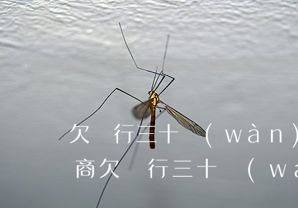 欠銀行三十萬(wàn)怎么協(xié)商(欠銀行三十萬(wàn)法院該怎么判)