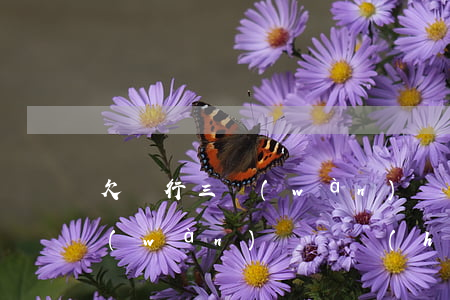 欠銀行三萬(wàn)錢怎么辦(欠銀行三萬(wàn)塊錢會(huì)坐牢嗎)