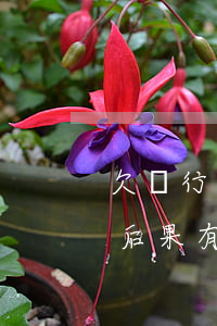欠銀行不還怎么處理最有效(欠銀行錢不還的后果有幾個(gè))