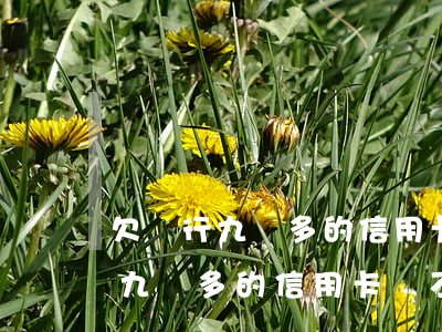欠銀行九萬多的信用卡會不會坐牢-欠銀行九萬多的信用卡會不會坐牢呢