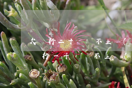 欠銀行二十萬還不上會(huì)坐牢嗎(欠銀行一千萬還不上會(huì)坐牢嗎)
