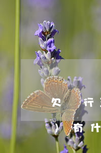 欠銀行五百萬(wàn)被起訴會(huì)有什么后果-欠銀行五百萬(wàn)被起訴會(huì)有什么后果嗎