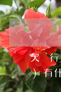 欠銀行五百萬(wàn)還不上會(huì)有什么結(jié)果-欠銀行五百萬(wàn)還不上會(huì)有什么結(jié)果嗎