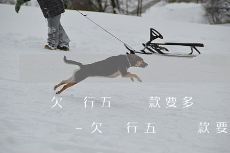 欠銀行五萬貸款要多長時(shí)間被起訴-欠銀行五萬貸款要多長時(shí)間被起訴呢